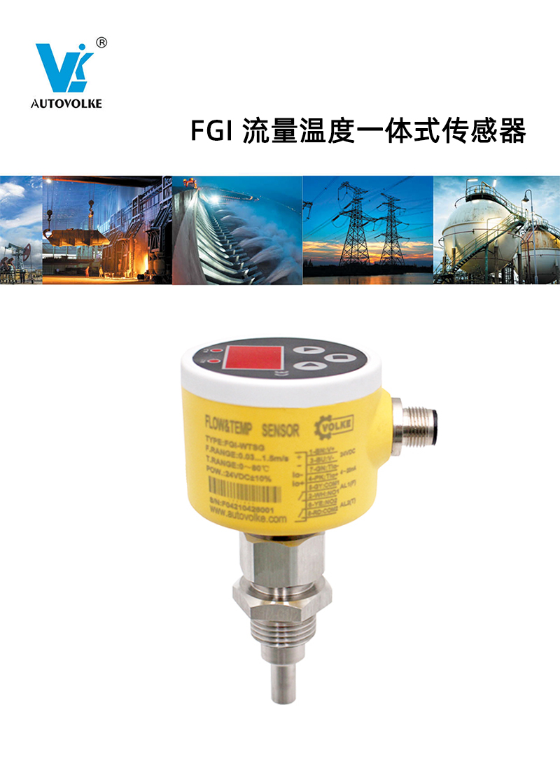 FGI ¶һʽ